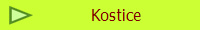 Kostice