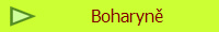 Boharyn