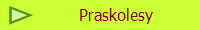 Praskolesy